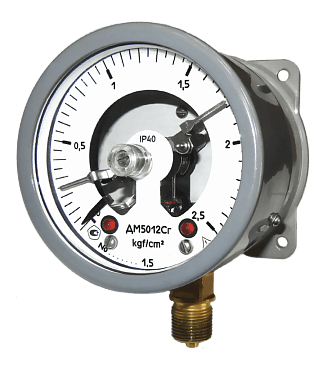 Манометры ДМ5012Сг  (диаметр 100 мм)